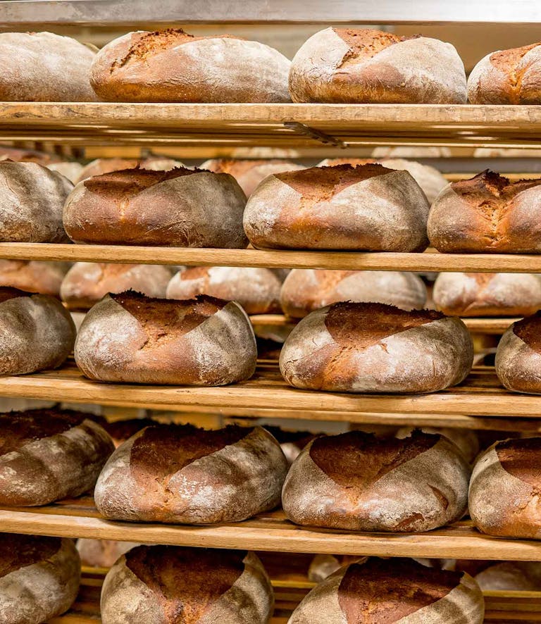 Kompetenzen | Haus der Bäcker